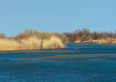 bahar bozkır nehirde. nehir sazlık ile büyümüş. saf zümrüt sudur