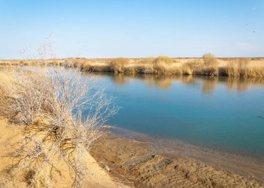 bahar bozkır nehirde. nehir sazlık ile büyümüş. saf zümrüt sudur