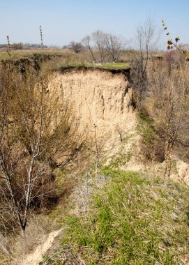Yangından sonra bahar dağ geçidi. dağ geçidi dağlar içinde belgili tanımlık geçmiş. yonca alanıyla uçurumun hangi arkasında uzanır