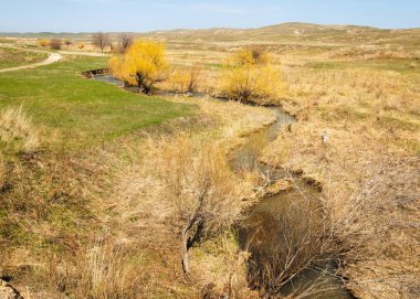 Doku arka plan görüntüsü, bahar zamanı, sıcak güneş. Büyük ruh
