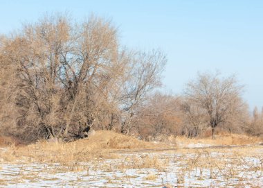  kayalar ve woods, erken Bahar yatay