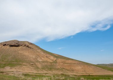 willow, Tien Shan eteklerinde büyüyen sahilde bahar creek