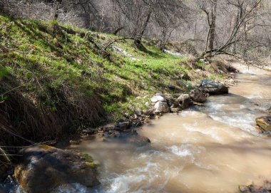 dağ nehir. dağ nehir çamurlu su akan