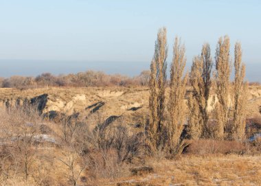  kayalar ve woods, erken Bahar yatay