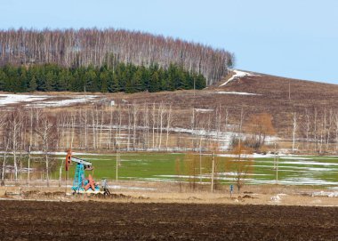 bahar sürülmüş alan, yağ (yağ pompası) huş ağacı çam bahar ormandaki sallanan