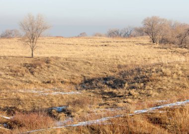  kayalar ve woods, erken Bahar yatay