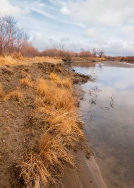 bahar bozkır nehirde. nehir sazlık ile büyümüş. saf zümrüt sudur