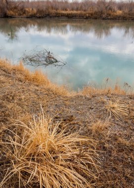 bahar bozkır nehirde. nehir sazlık ile büyümüş. saf zümrüt sudur