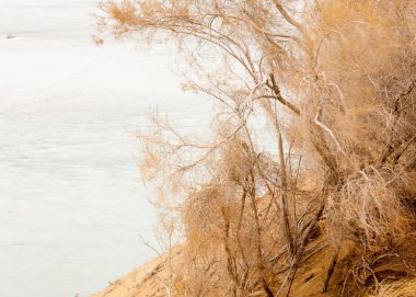 bahar bozkır nehirde. nehir sazlık ile büyümüş. saf zümrüt sudur