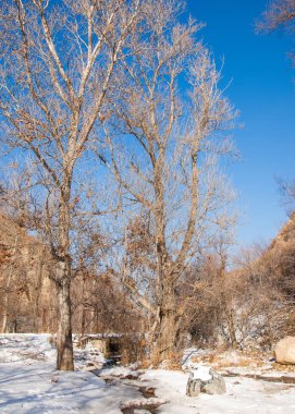 Tien Shan dağlar. Takma Yaylası. Turgen gorge. Zailiyskoe Alatau, plato Assy Turgen