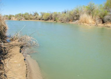 Bozkır nehir sazlık yaz. nehir görünümünde kez izlendi. küçük mavi nehir kıyısında güneşli bir gün