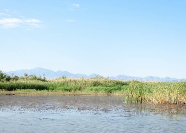 Bozkır yaz. Turgai Kaydet. Çölde Gölü