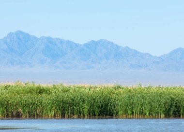  Bozkır yaz. Turgai kapısı. Turgai Kaydet. Milli Parkı 