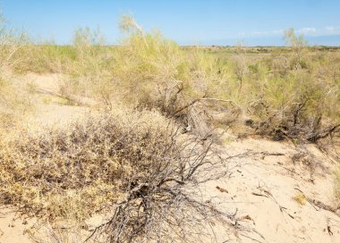  Bozkır yaz. Turgai kapısı. Turgai Kaydet. Milli Parkı 