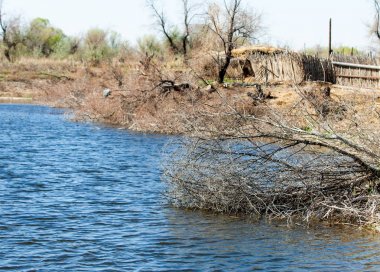 çöl, vahşi, kumlar, ıssızlık, atık, sahara. Hayvancılık, özellikle sığır veya ata, bir çiftlik veya ahır için bir kalem. su bulunduğu bir çölde bereketli bir nokta.