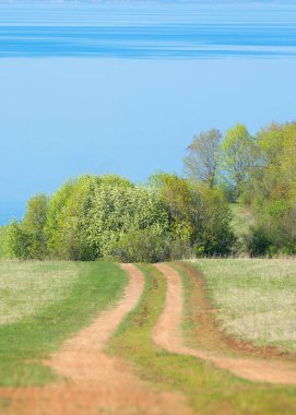 Bahar günü ülkede yol. Köy yolunda bahar günü ormanında. Köy yolunda yaz, yeşil alan ve mavi temiz gökyüzü arasında. Doğa kavramsal görüntü.