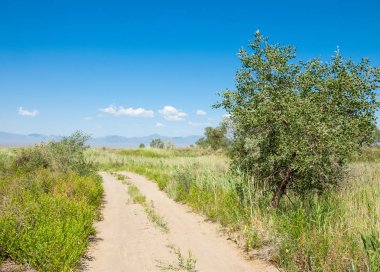  Bozkır yaz. Turgai kapısı. Turgai Kaydet. Milli Parkı 