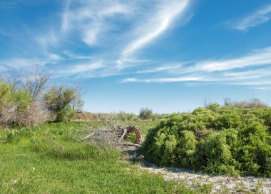 Bozkır, çayır, veldt, veld, taşkın