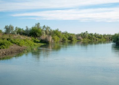 Bozkır nehir sazlık yaz. nehir görünümünde kez izlendi. küçük mavi nehir kıyısında güneşli bir gün