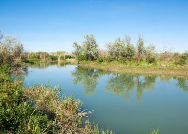 Bozkır nehir sazlık yaz. nehir görünümünde kez izlendi. küçük mavi nehir kıyısında güneşli bir gün