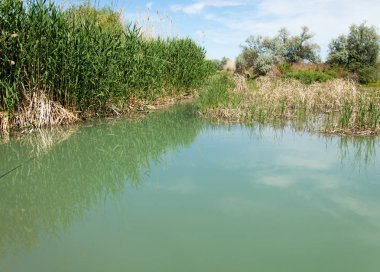 Bozkır nehir sazlık yaz. nehir görünümünde kez izlendi. küçük mavi nehir kıyısında güneşli bir gün
