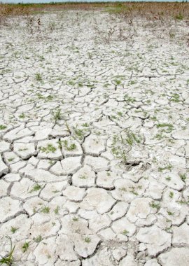 Bozkır tuzlu topraklar. tuz tuz tuz. Bozkır çayır veldt veld. Tuzlu toprak çöl, tuzlu Göller. cansız yanıp kavrulmuş dünyamız. Kazakistan çıplak bozkır