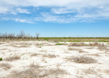 Bozkır tuzlu topraklar. tuz tuz tuz. Bozkır çayır veldt veld. Tuzlu toprak çöl, tuzlu Göller. cansız yanıp kavrulmuş dünyamız. Kazakistan çıplak bozkır