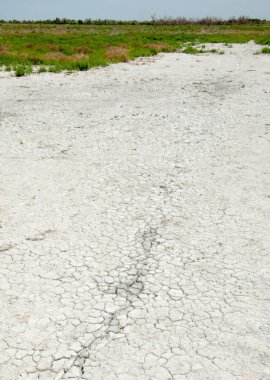 Bozkır tuzlu topraklar. tuz tuz tuz. Bozkır çayır veldt veld. Tuzlu toprak çöl, tuzlu Göller. cansız yanıp kavrulmuş dünyamız. Kazakistan çıplak bozkır