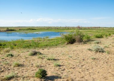 Güzel gökyüzü altında küçük bir göl. Bozkır içinde bataklıkta ile güzel yaz günü manzara. Göl sahnesinde yaz