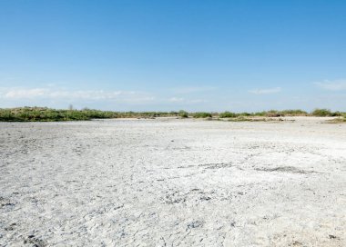 Bozkır tuzlu topraklar. tuz tuz tuz. Bozkır çayır veldt veld. Tuzlu toprak çöl, tuzlu Göller. cansız yanıp kavrulmuş dünyamız. Kazakistan çıplak bozkır