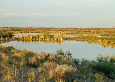 Güzel gökyüzü altında küçük bir göl. akşam olay yerinde bozkır, yatay, bozkır güzel yaz gün bataklıkta gölde. Göl sahnesinde yaz
