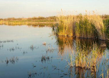 Güzel gökyüzü altında küçük bir göl. akşam olay yerinde bozkır, yatay, bozkır güzel yaz gün bataklıkta gölde. Göl sahnesinde yaz