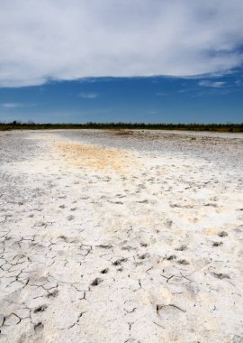 Bozkır tuzlu topraklar. tuz tuz tuz. Bozkır çayır veldt veld. Tuzlu toprak çöl, tuzlu Göller. cansız yanıp kavrulmuş dünyamız. Kazakistan çıplak bozkır