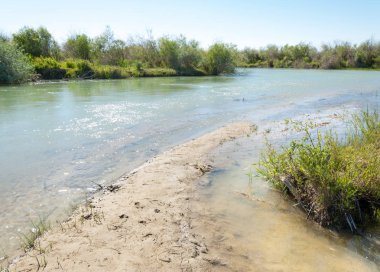 Bozkır nehir sazlık yaz. nehir görünümünde kez izlendi. küçük mavi nehir kıyısında güneşli bir gün