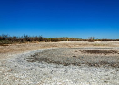 tuzlu su, tuz bataklığı. Etkin badlands. Tek çalı. Kazakistan