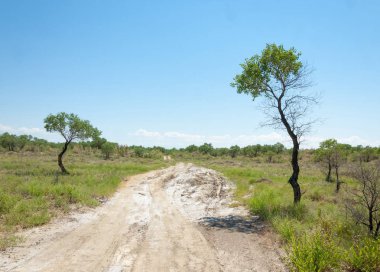 Bozkır yaz. Turgai Kaydet. Çölde Gölü