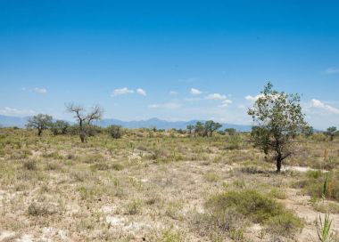 Bozkır yaz. Turgai Kaydet. Çölde Gölü