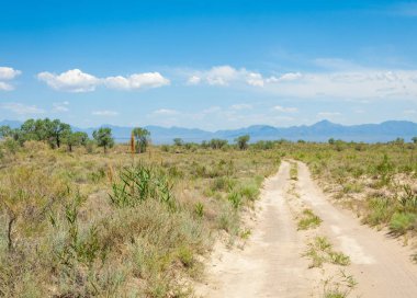 Bozkır yaz. Turgai Kaydet. Çölde Gölü