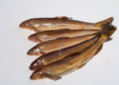 Yaban elması ve yaban elması. Malus, gülgiller (Rosaceae) familyasından bir elma ağacı cinsidir.