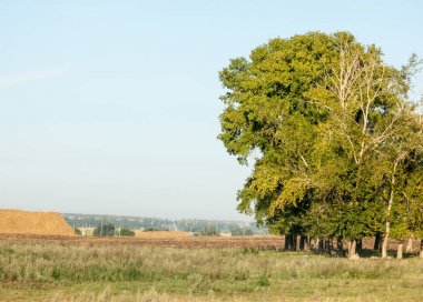 Yaz aylarında taze sürülmüş alan, saman yığınları, kavak