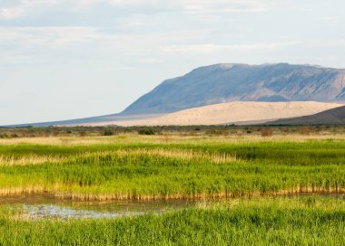 Bozkır yaz. Turgai Kaydet. Çölde Gölü