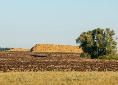Yaz aylarında taze sürülmüş alan, saman yığınları, kavak