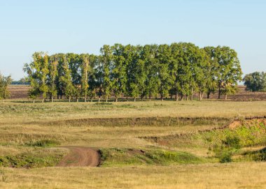 Yaz aylarında taze sürülmüş alan, saman yığınları, kavak