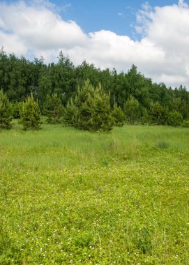 geometrické papírové abeceda