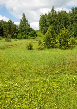 geometrické papírové abeceda