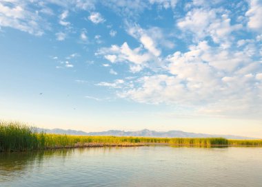  Bozkır yaz. Turgai kapısı. Turgai Kaydet. Milli Parkı 