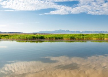  Bozkır yaz. Turgai kapısı. Turgai Kaydet. Milli Parkı 