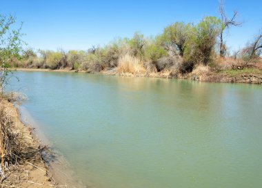 Bozkır nehir sazlık yaz. nehir görünümünde kez izlendi. küçük mavi nehir kıyısında güneşli bir gün