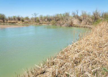Bozkır nehir sazlık yaz. nehir görünümünde kez izlendi. küçük mavi nehir kıyısında güneşli bir gün