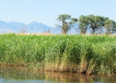  Bozkır yaz. Turgai kapısı. Turgai Kaydet. Milli Parkı 
